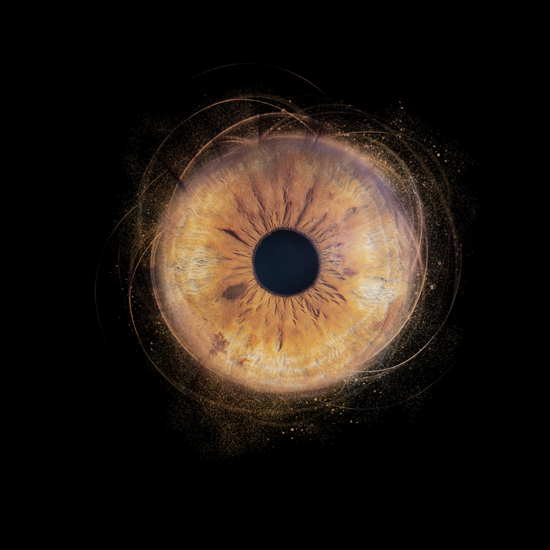 Photographie d'Iris à Montpellier et Nimes