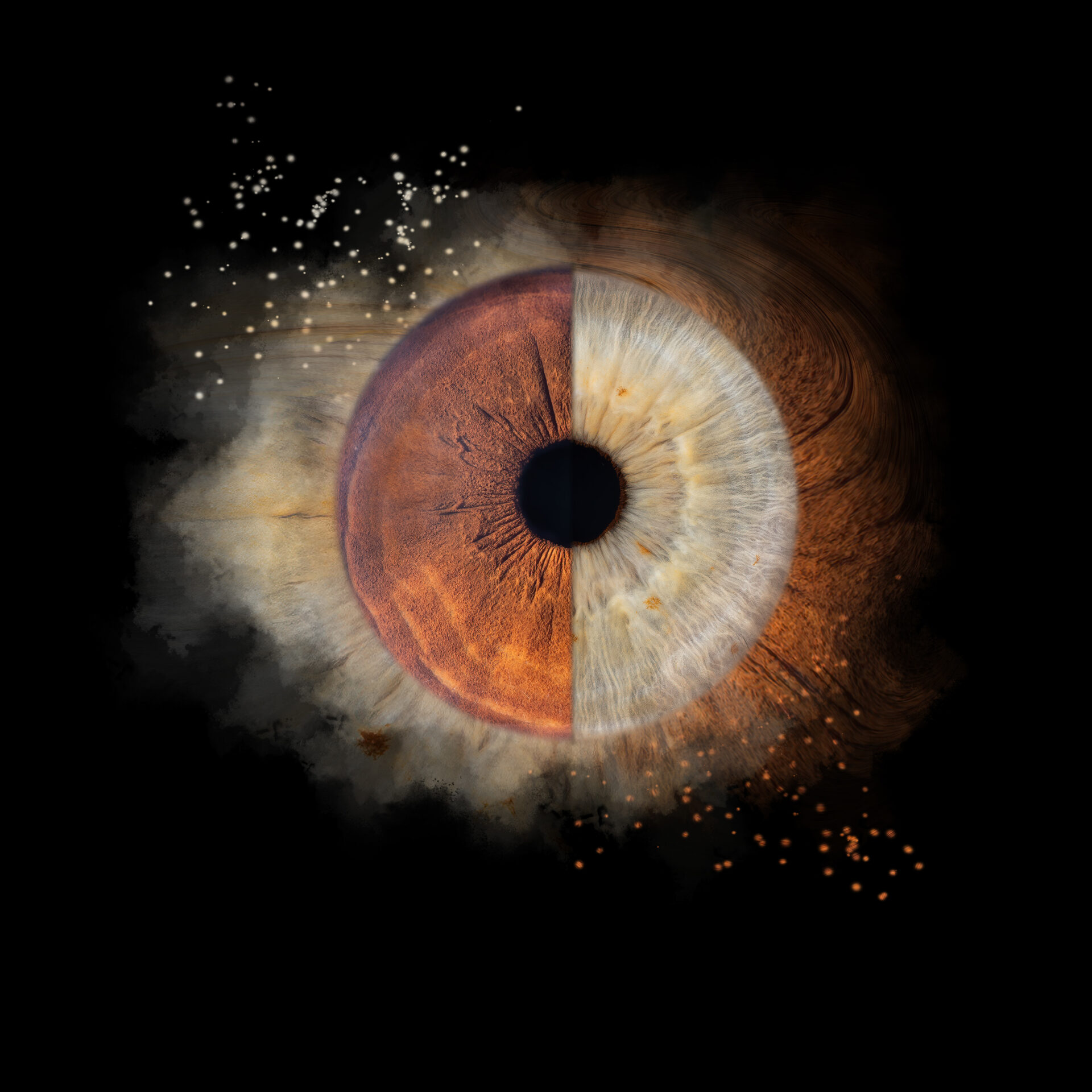 Photographie d'Iris à Montpellier et Nimes