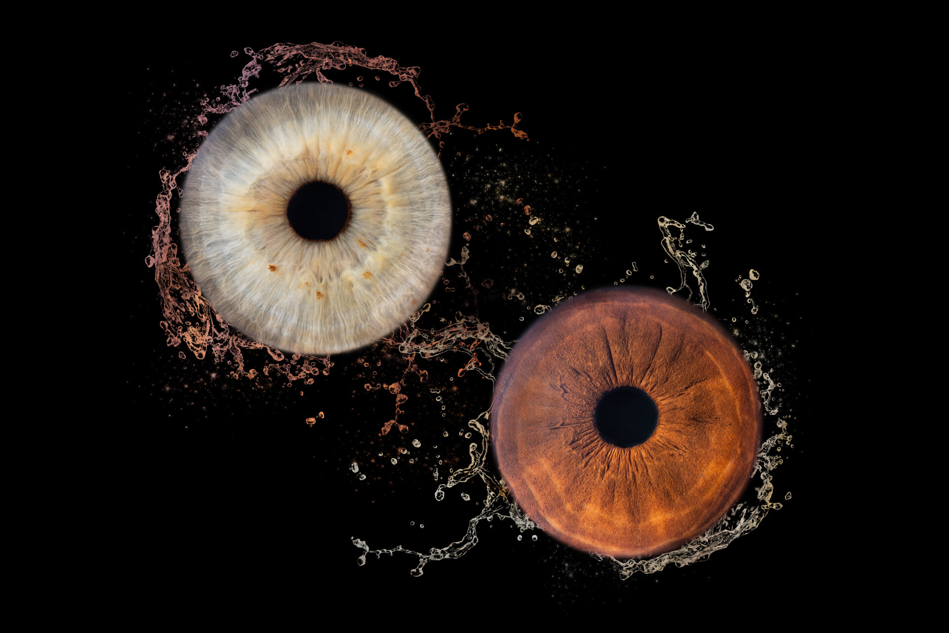 Photographie d'Iris à Montpellier et Nimes
