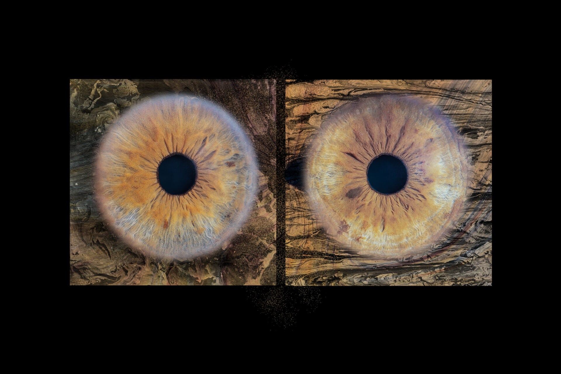 Photographie d'Iris à Montpellier et Nimes
