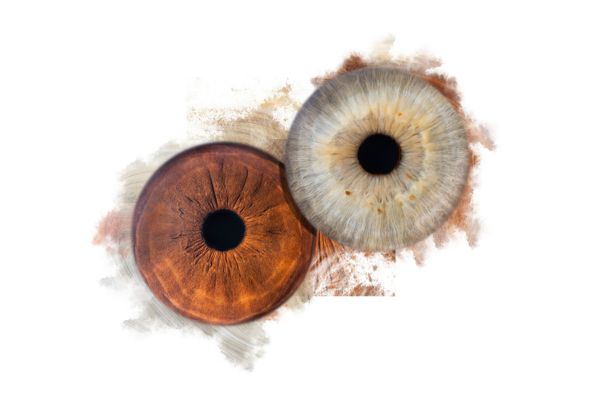 Photographie d'Iris à Montpellier et Nimes